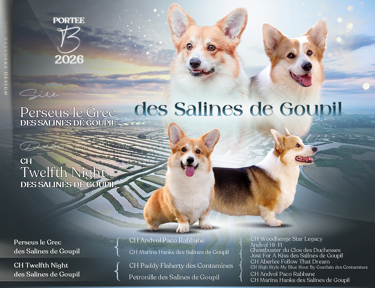 Mariage aux Salines Goupil